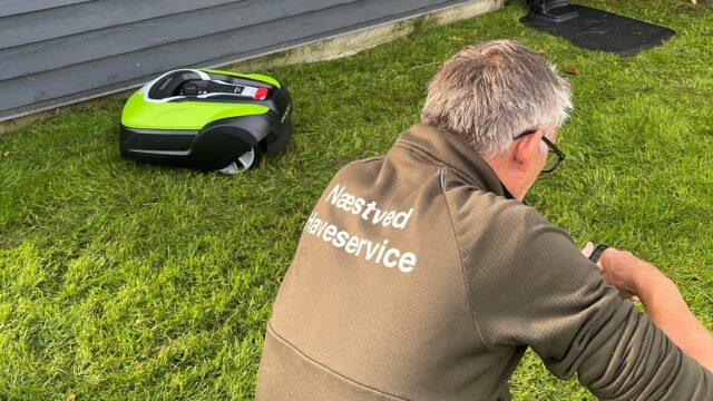 Leje af robotplæneklipper